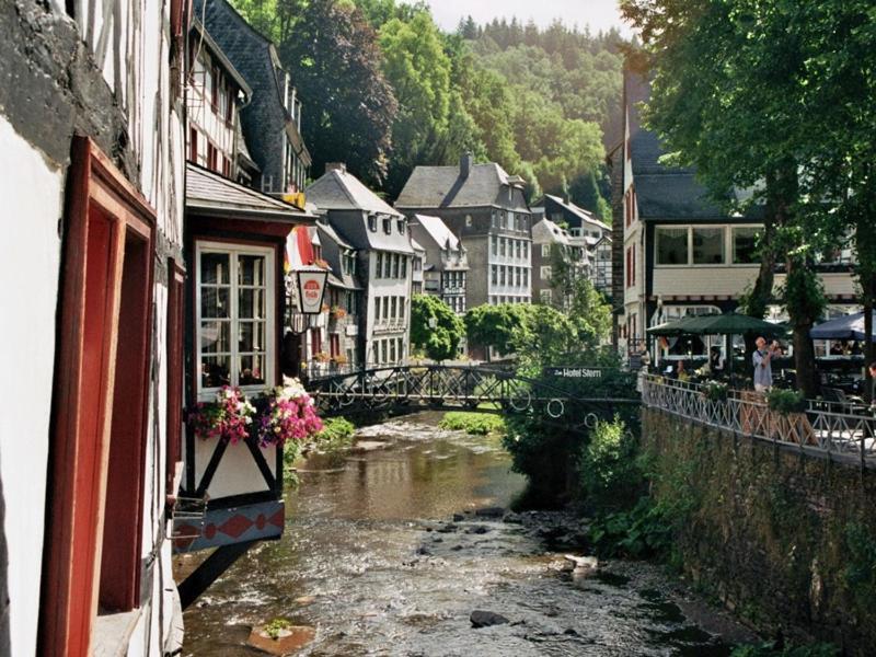 Waldhaus Anne Villa Nideggen Kültér fotó